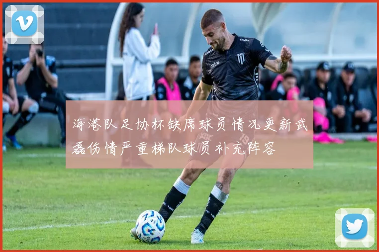 海港队足协杯缺席球员情况更新武磊伤情严重梯队球员补充阵容