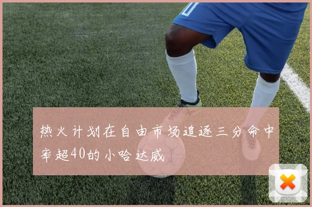 热火计划在自由市场追逐三分命中率超40的小哈达威