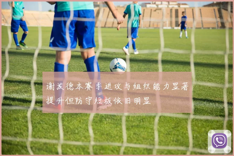 谢泼德本赛季进攻与组织能力显著提升但防守短板依旧明显